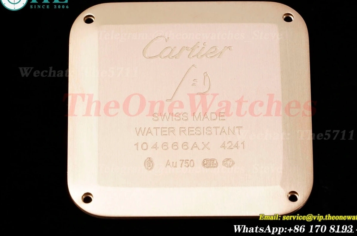 Dial Santos Quartz AF Blue LE Silver RG Dumont 0301